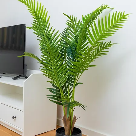 Apartman Miedziana Comfy